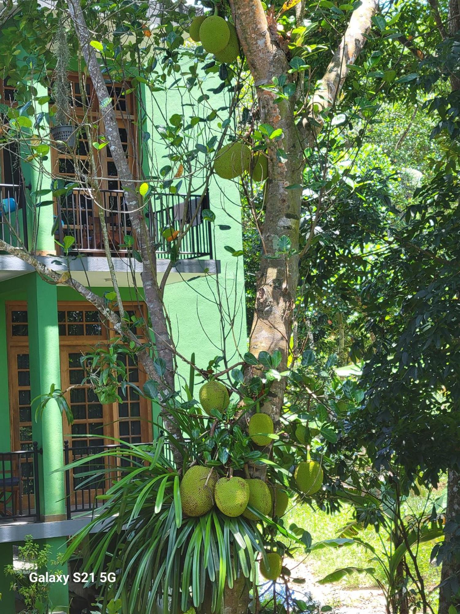 Barefoot Bungalow Hikka Hikkaduwa Exteriér fotografie
