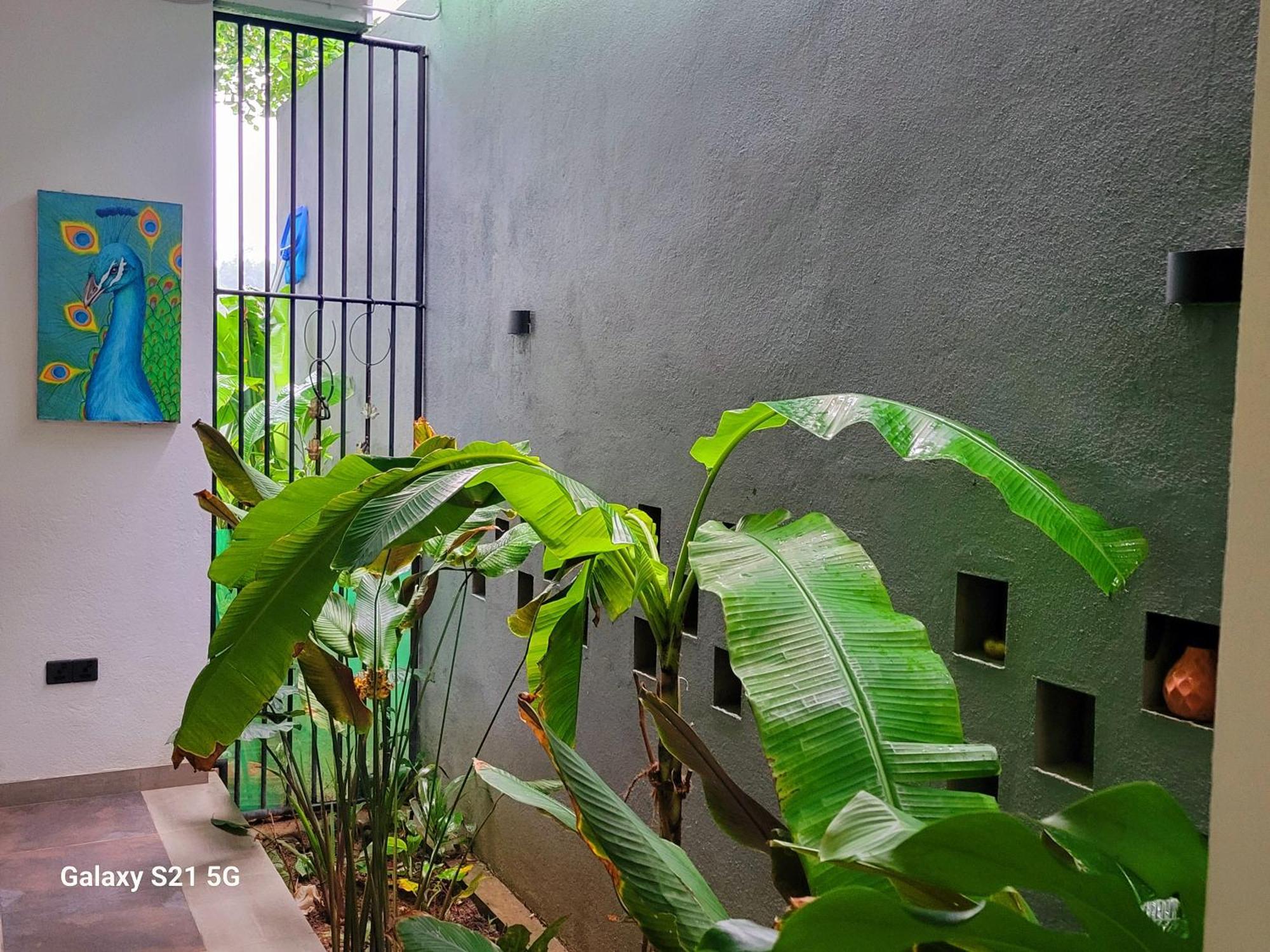 Barefoot Bungalow Hikka Hikkaduwa Exteriér fotografie