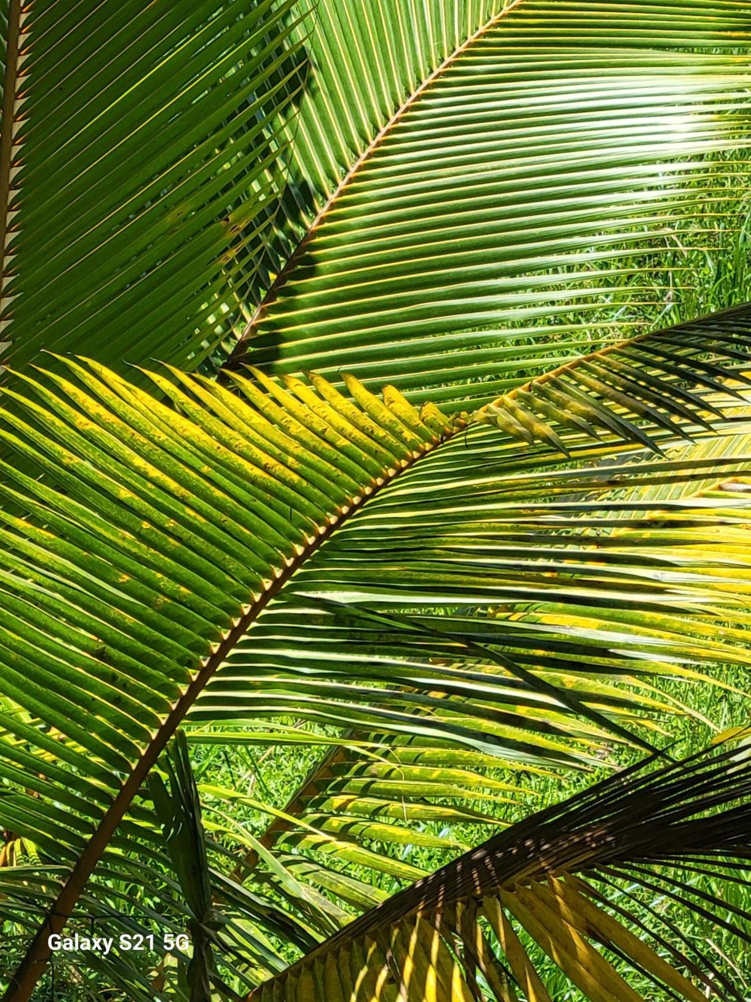 Barefoot Bungalow Hikka Hikkaduwa Exteriér fotografie